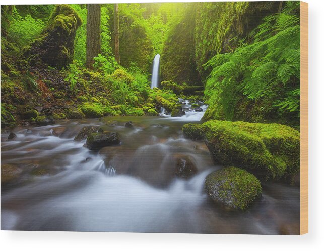 Oregon Wood Print featuring the photograph Seclusion by Darren White
