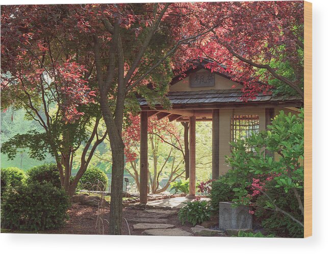 Missouri Botanical Garden Wood Print featuring the photograph Secret Garden by Scott Rackers