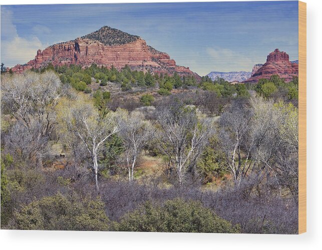 Arizona Wood Print featuring the photograph Sedona Landscape - 2 - Arizona by Nikolyn McDonald