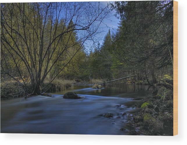 Marathon County Wood Print featuring the photograph Serene Plover River by Dale Kauzlaric