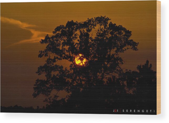 Nature Wood Print featuring the photograph Serengeti by Jonathan Ellis Keys