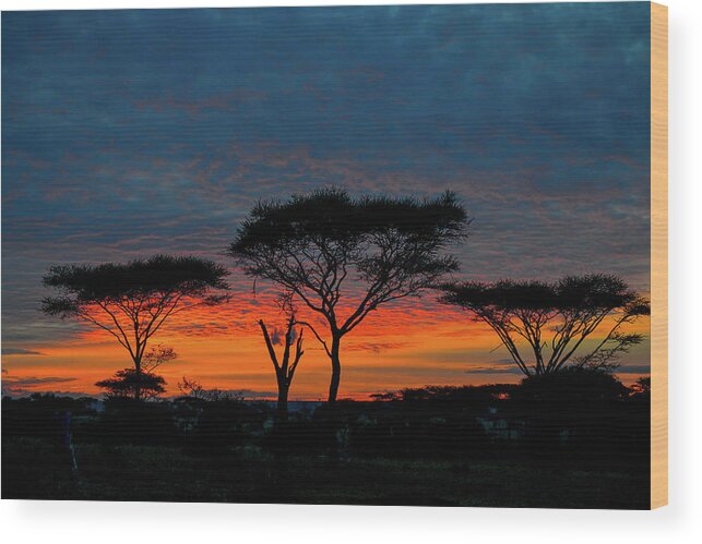 Africa Wood Print featuring the photograph Serengeti Sunrise by Marilyn Burton