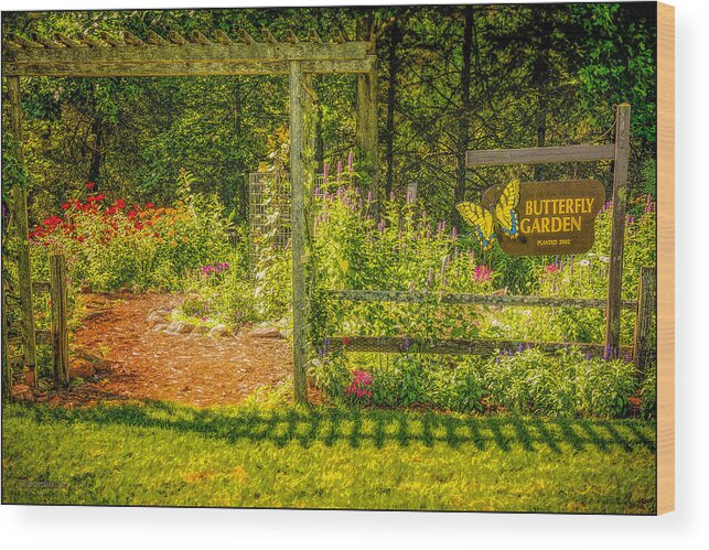 Seven Wood Print featuring the photograph Seven Ponds Nature Center Butterfly Garden by LeeAnn McLaneGoetz McLaneGoetzStudioLLCcom