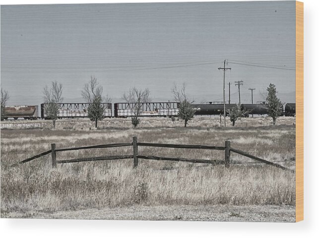 Desert Wood Print featuring the photograph Seven Trees and a train by Jessica Levant