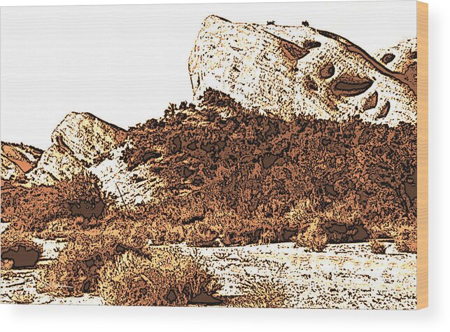 Desert Wood Print featuring the photograph Shadows of A Great Rock by Pat Wagner