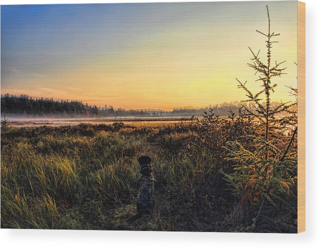 Hunt Wood Print featuring the photograph Sharing A September Sunrise With a Retriever by Dale Kauzlaric