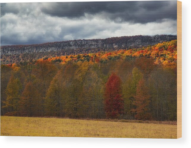 Shawangunk Wood Print featuring the photograph Shawangunk Mountains Hudson Valley NY by Susan Candelario