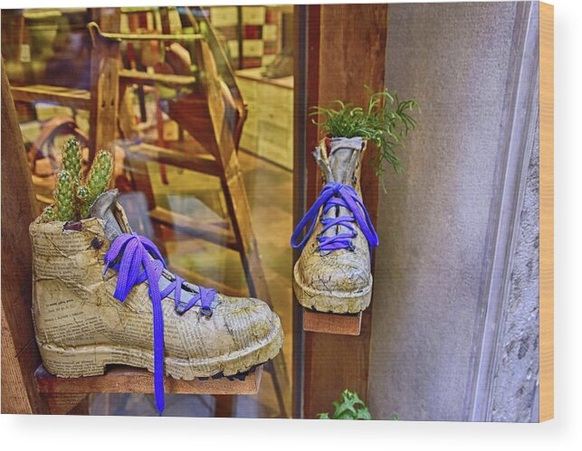 Shoes Wood Print featuring the photograph Shoe Vases by Roberta Kayne