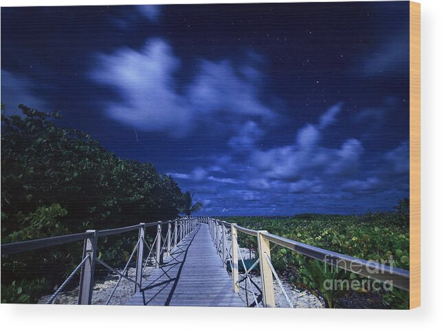 Tropical Wood Print featuring the photograph Shooting Star In Tropical Paradise by Charline Xia