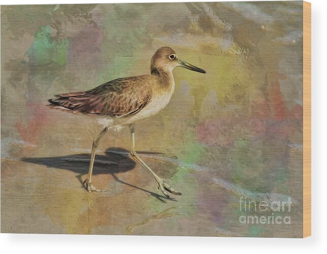 Bird Wood Print featuring the painting Shore Bird Beauty by Deborah Benoit