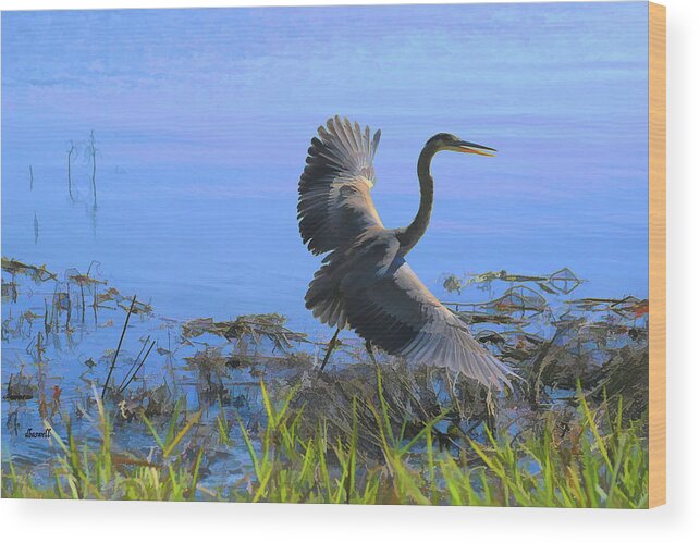 Blue Heron Wood Print featuring the photograph Shore Walk by Dennis Baswell