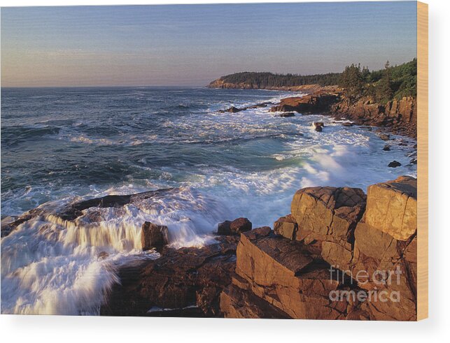 Acadia Wood Print featuring the photograph Shoreline at Acadia National Park, Maine by Kevin Shields
