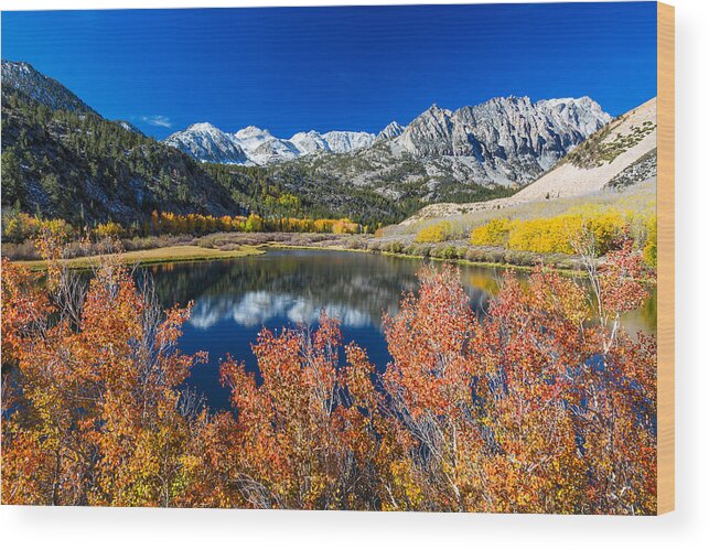 Autum Colors Wood Print featuring the photograph Sierra Foliage by Tassanee Angiolillo