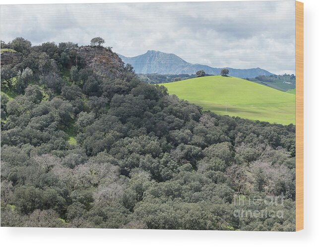 Sierra Wood Print featuring the photograph Sierra Ronda, Andalucia Spain 2 by Perry Rodriguez