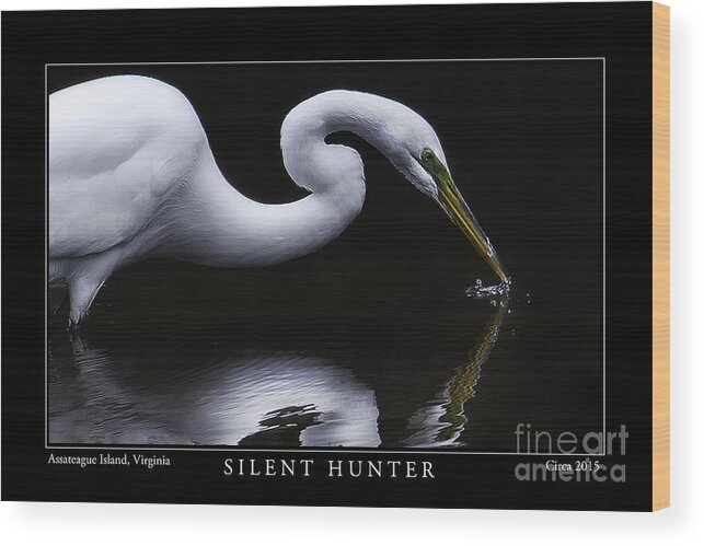 Egret Wood Print featuring the photograph Silent Hunter by Gene Bleile Photography 