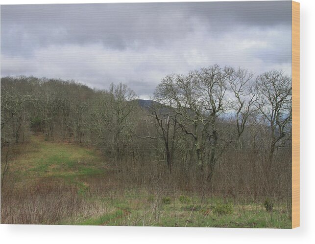 Nantahala National Forest Wood Print featuring the photograph Silers Bald 2015a by Cathy Lindsey