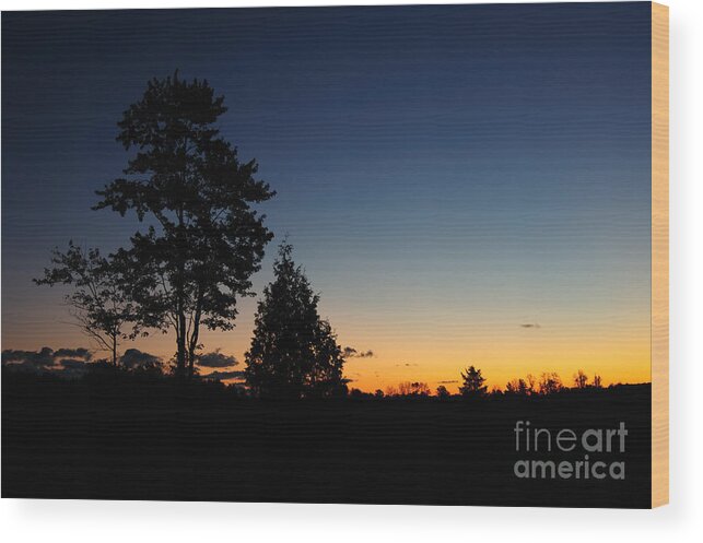 Nature Wood Print featuring the photograph Silhouettes by Joe Ng