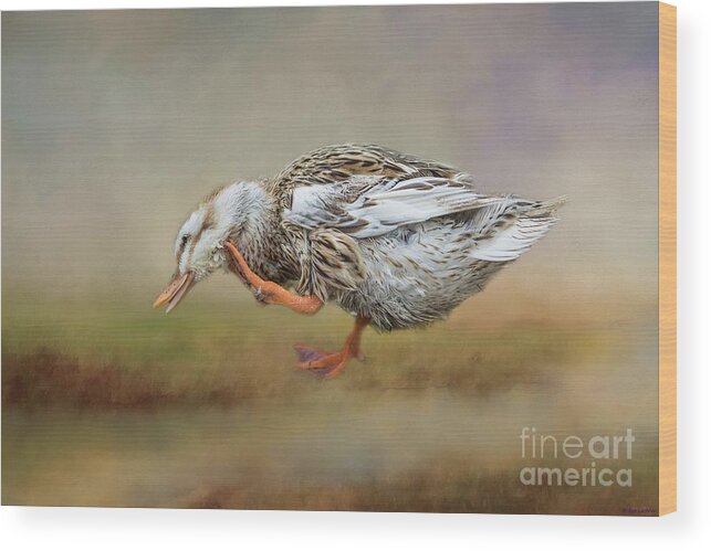 Silver Appleyard Duck Wood Print featuring the photograph Silver Appleyard Duck by Eva Lechner