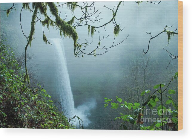 Silver Wood Print featuring the photograph Silver Creek Falls by Nick Boren