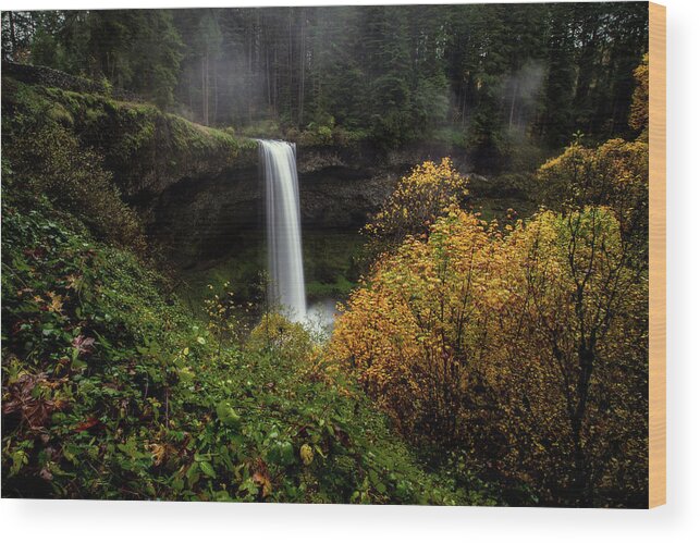 Silver Falls Wood Print featuring the photograph Silver Falls by Ryan Smith