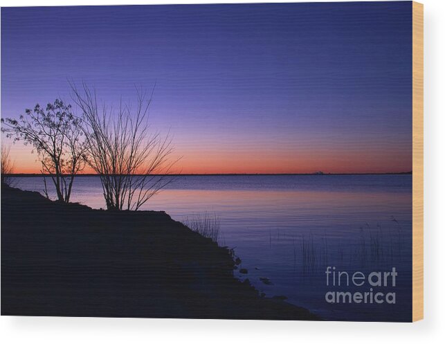 Sunrise Wood Print featuring the photograph Simply Gentle Blue by Diana Mary Sharpton