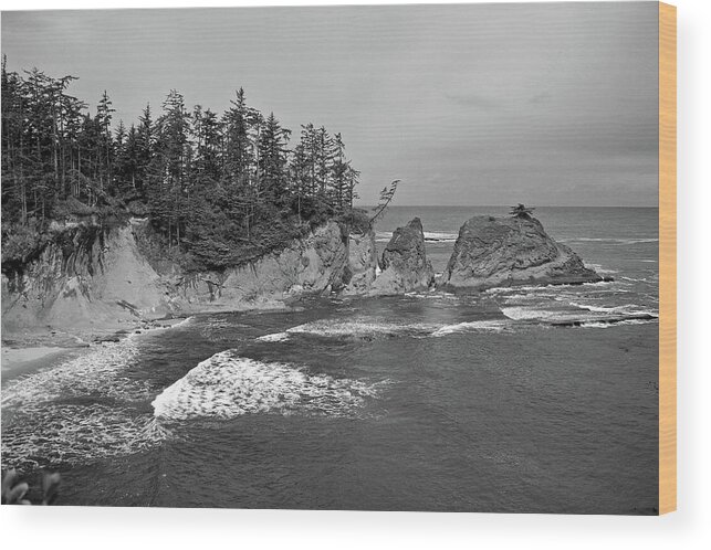 Simpson's Beach Cove Wood Print featuring the photograph Simpson Beach Cove bw by Kami McKeon