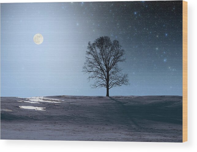 Science Wood Print featuring the photograph Single Tree in Moonlight by Larry Landolfi