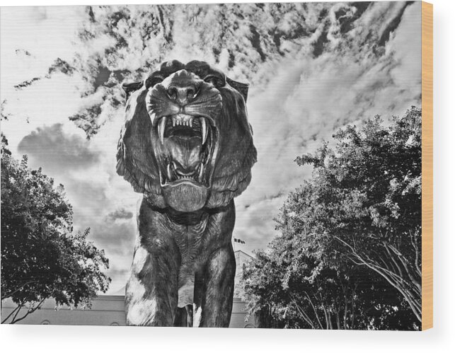 Lsu Wood Print featuring the photograph Sir Mike by Scott Pellegrin