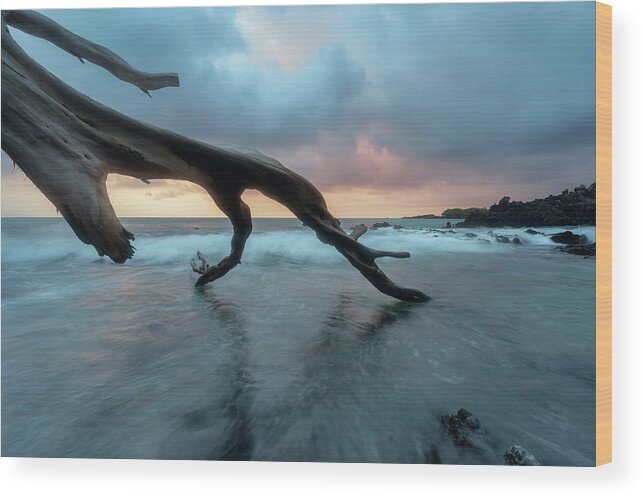 Hawaii Wood Print featuring the photograph Beach 69 by Christopher Johnson