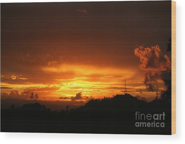 Sexy Wood Print featuring the photograph Sizzling Sunset by Alice Terrill