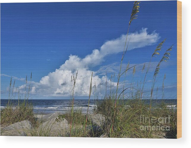 Blue Sky Wood Print featuring the photograph Skies Of Blue by Julie Adair