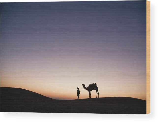 Camel Wood Print featuring the photograph SKN 0860 Dawn at The Dunes by Sunil Kapadia