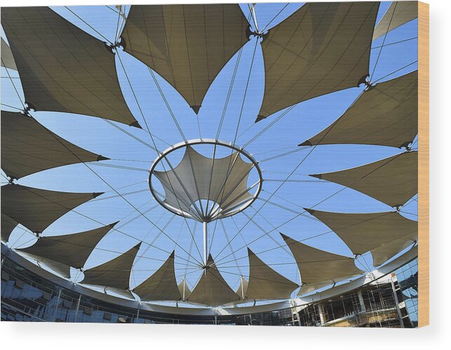 Architecture Wood Print featuring the photograph Sky flower by Sumit Mehndiratta