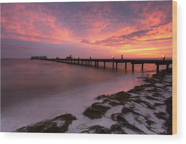 Florida Wood Print featuring the photograph Skyfire - Anna Maria by Patrick Downey