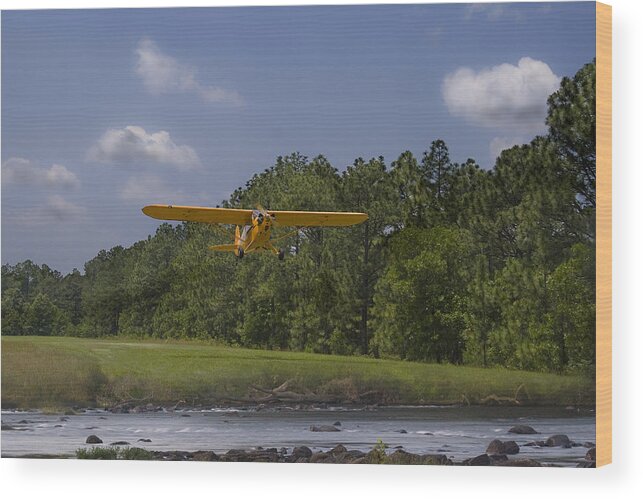 Cub Wood Print featuring the photograph Slow And Low by Steven Richardson