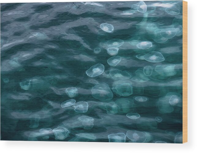 Jellyfish Wood Print featuring the photograph Smack of Jellyfish by Scott Slone