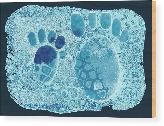  Wood Print featuring the photograph Small feet and Big feet 16 by Jean Francois Gil