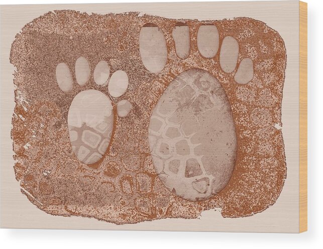  Small Feet And Big Feet Wood Print featuring the photograph Small feet and Big feet 29 by Jean Francois Gil