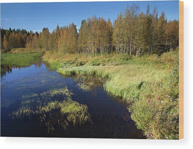 Lake Wood Print featuring the photograph Small Lake in Levi by Aivar Mikko