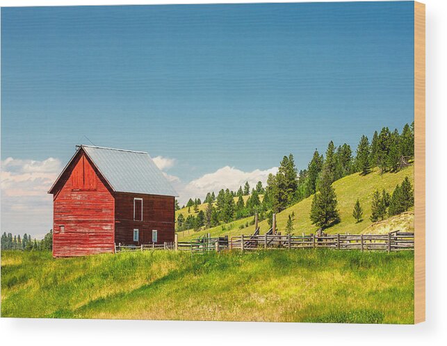 Red Wood Print featuring the photograph Small Red Shed by Todd Klassy