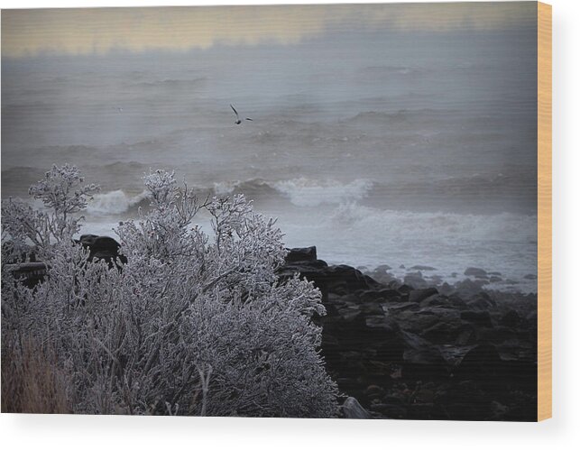 Ocean Wood Print featuring the photograph Smoke On The Water by Sue Long