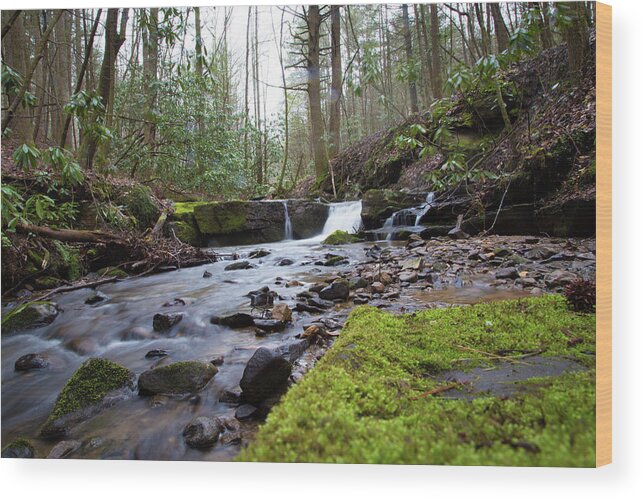 Waterfall Wood Print featuring the photograph Smokey Mountains 4 by Lindsey Weimer