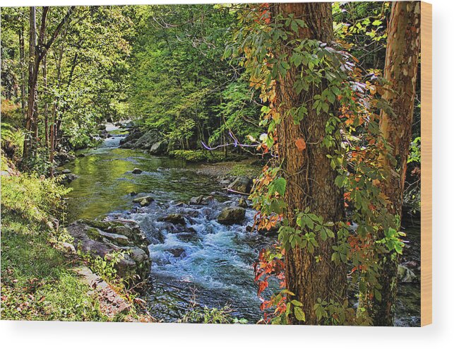 Smoky Mountains Wood Print featuring the photograph Smoky Mountain Dreams by HH Photography of Florida