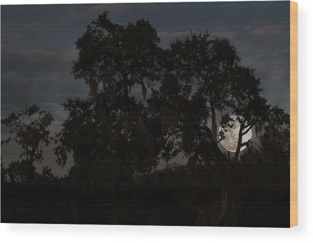 Orlando Wood Print featuring the photograph Sneaky moon by SC Shank