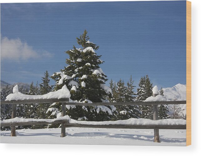 Clouds Wood Print featuring the photograph Snow and Sky 3 by Mark Smith