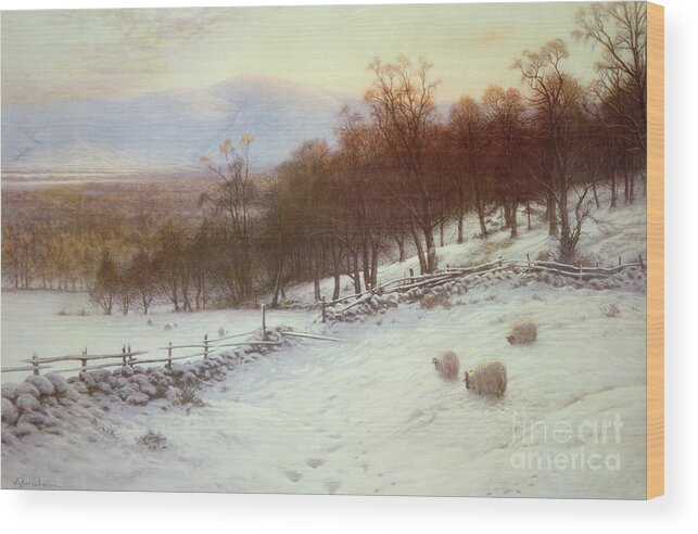 Snow Wood Print featuring the painting Snow Covered Fields with Sheep by Joseph Farquharson