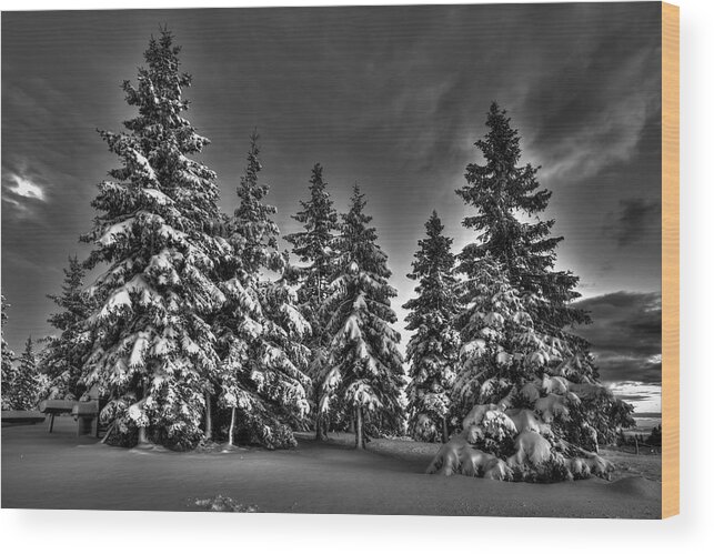 Winter Wood Print featuring the photograph Snow covered trees bw by Ivan Slosar