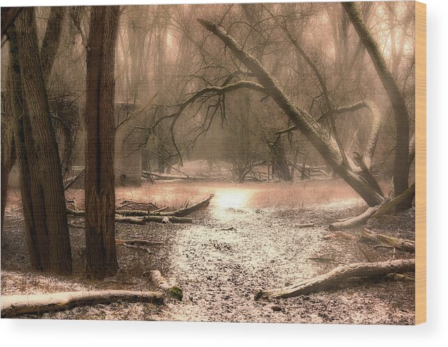 Gelderland Wood Print featuring the photograph Snow in the forest - Color by Tim Abeln