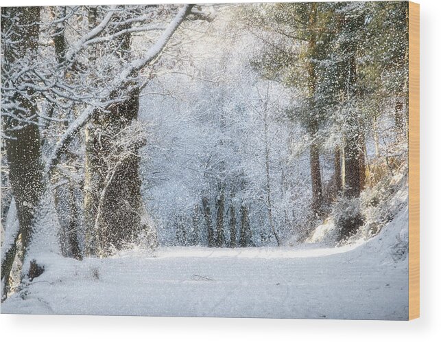 Snow Wood Print featuring the photograph Snow on the Chase by Ann Garrett