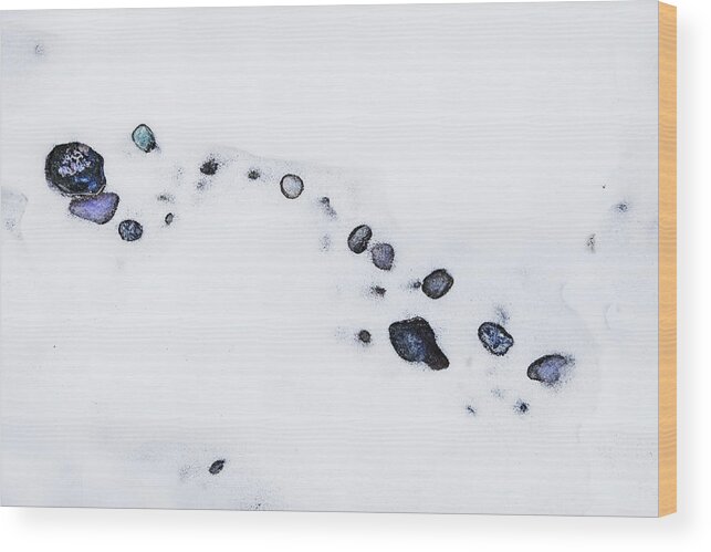 Theresa Tahara Wood Print featuring the photograph Snow Pebbles Right by Theresa Tahara